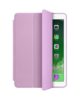 iPad Case