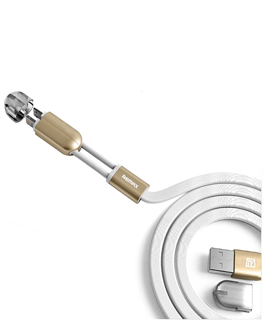 2 in 1 Charging Cable
